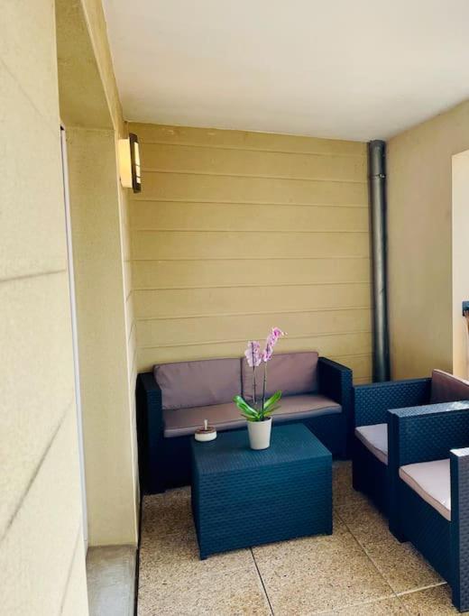 L'Ideal Cosy-Wifi-Netflix Et Garage ヴィエンヌ エクステリア 写真